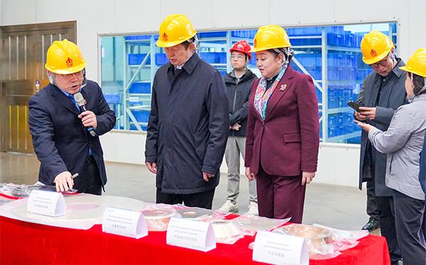 民革中央副主席谷振春一行莅临顶立科技调研 (4).jpg 民革中央副主席谷振春一行莅临顶立科技调研 (4).jpg